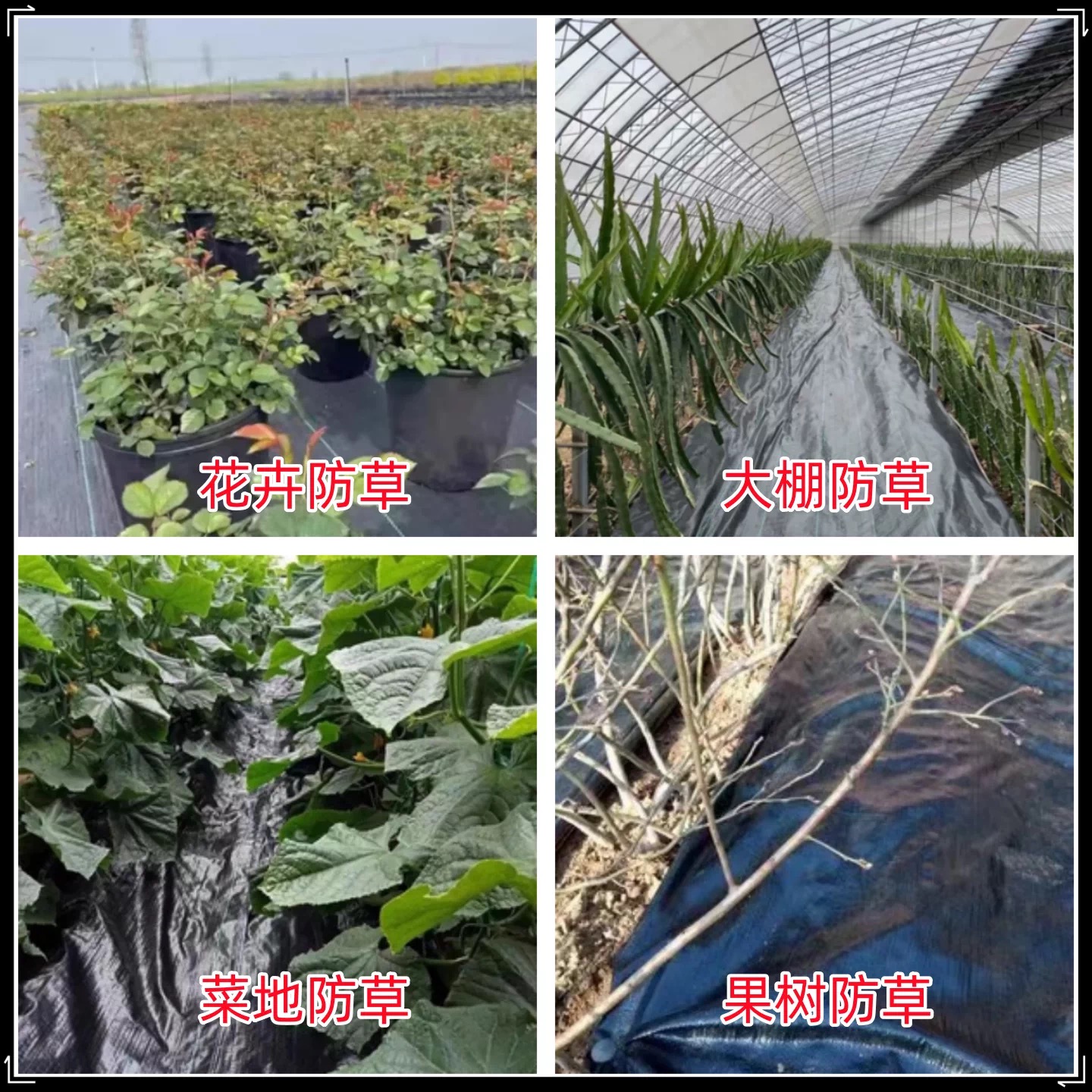铜仁市农用薄膜防草布 - 排名